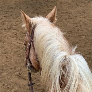 Meet your Posher, Mandi